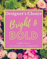 Designer's Choice - Bright & Bold 